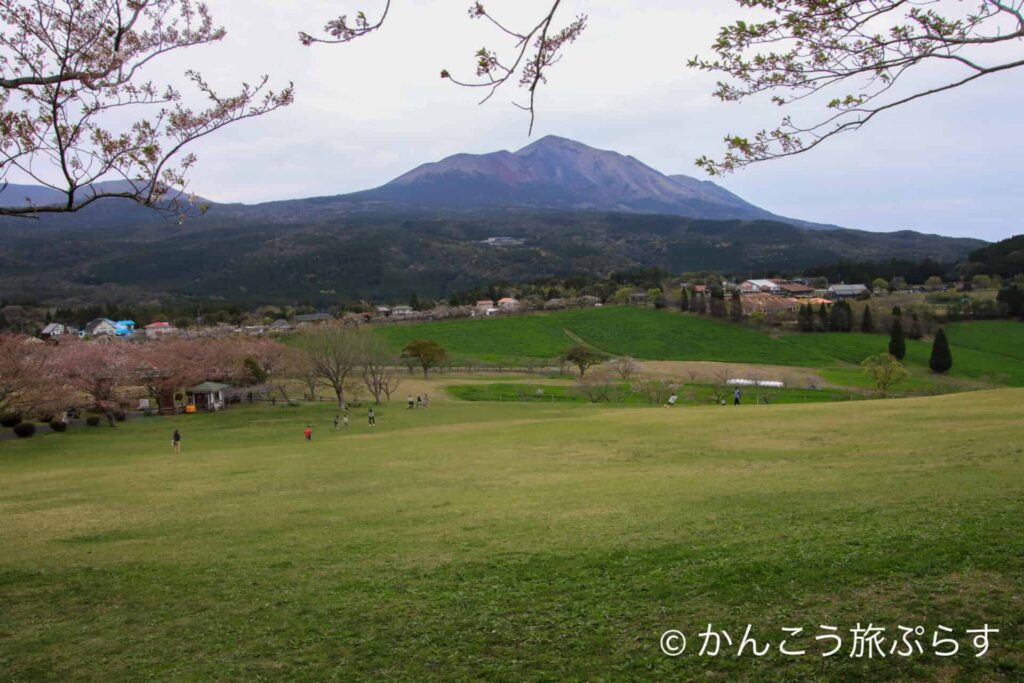 高千穂牧場