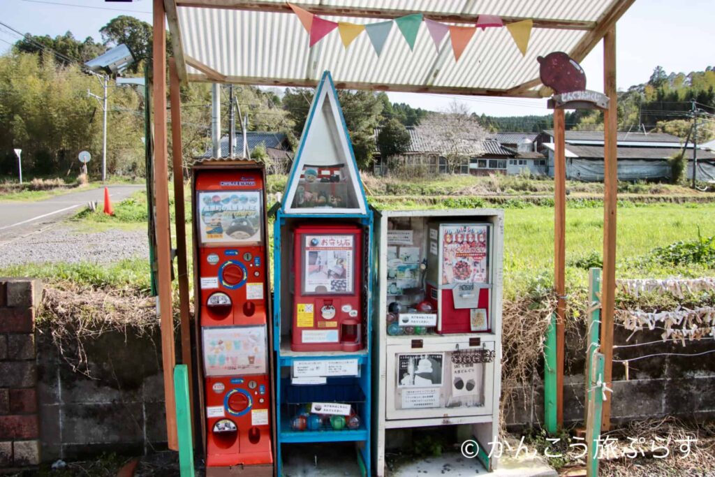 高原町のトトロ