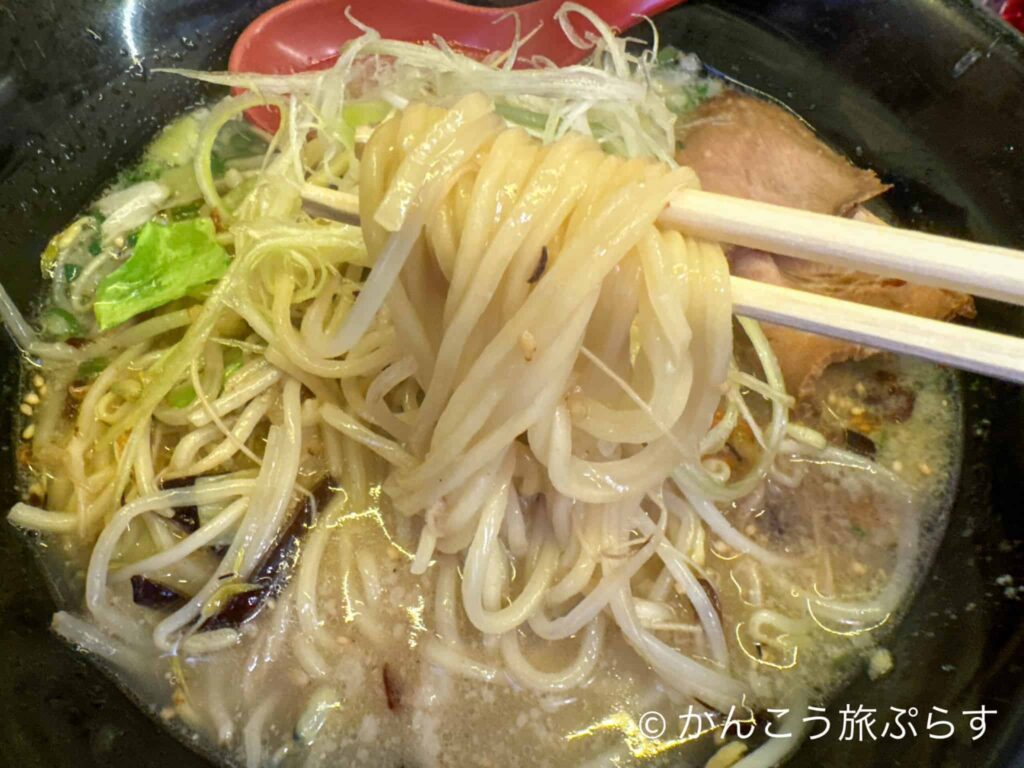 薩摩郡山 麺屋 夢源