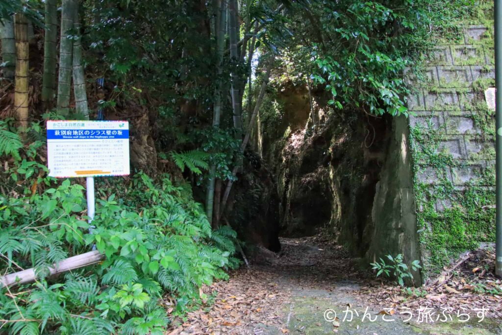 萩別府地区のシラス壁の坂