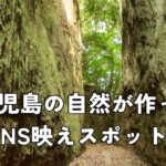 萩別府地区のシラス壁の坂
