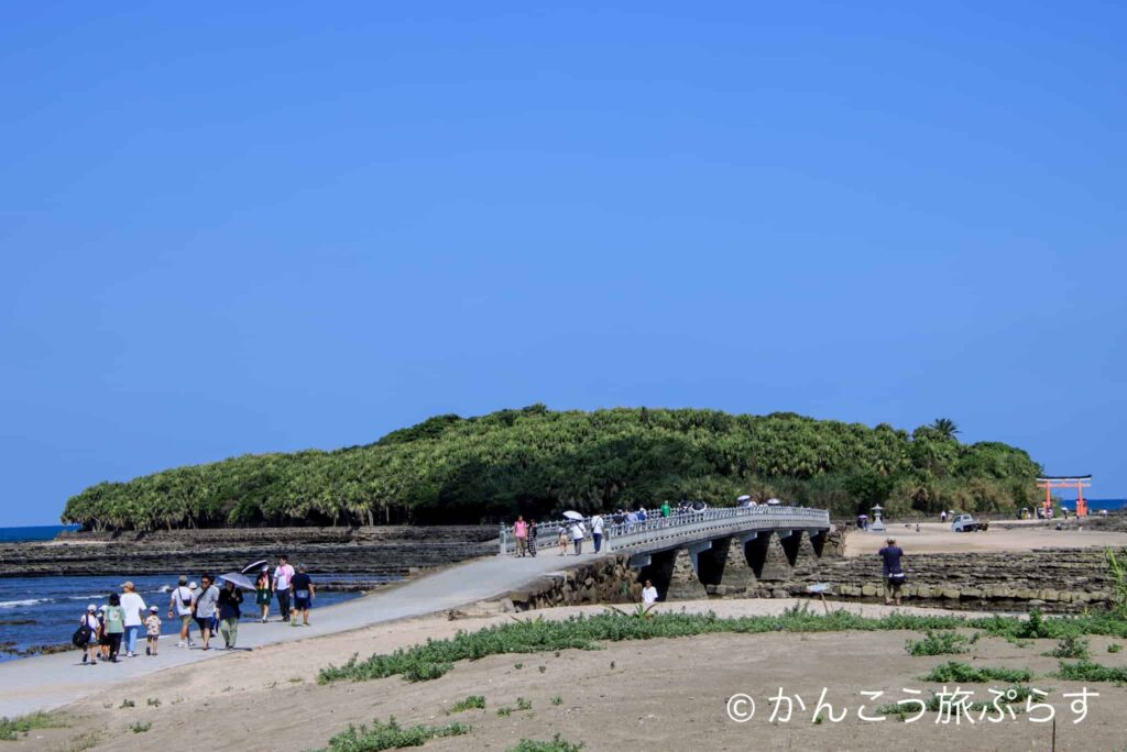 青島神社