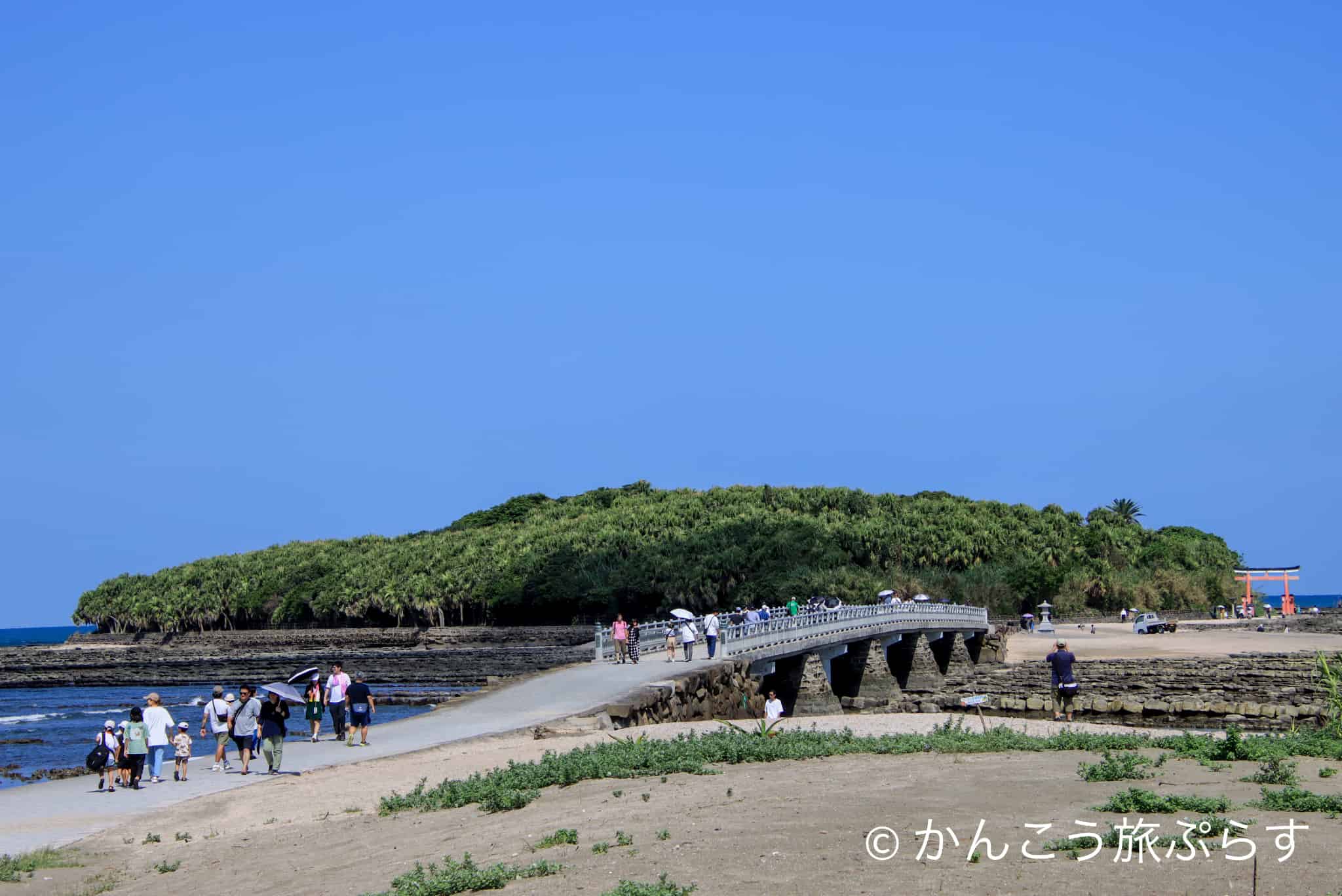 青島神社｜宮崎旅行の定番！恋愛成就のご利益満載【宮崎県宮崎市】 | かんこう旅ぷらす