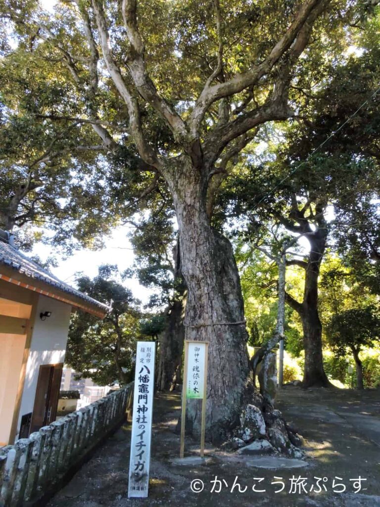 八幡竈門神社