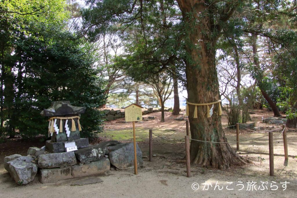 篠山神社
