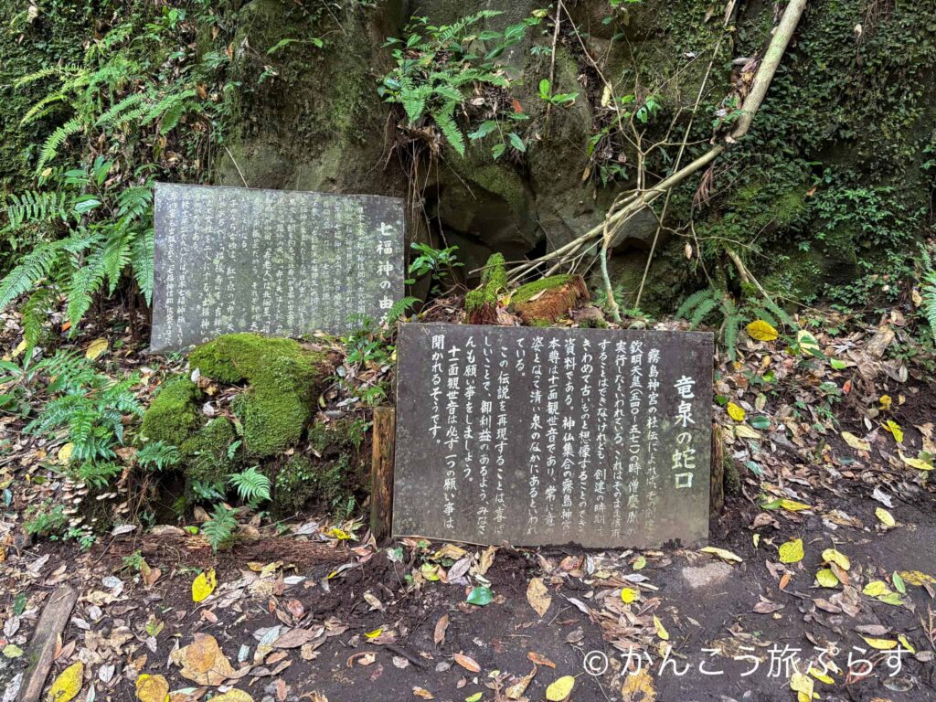 竜泉の蛇口