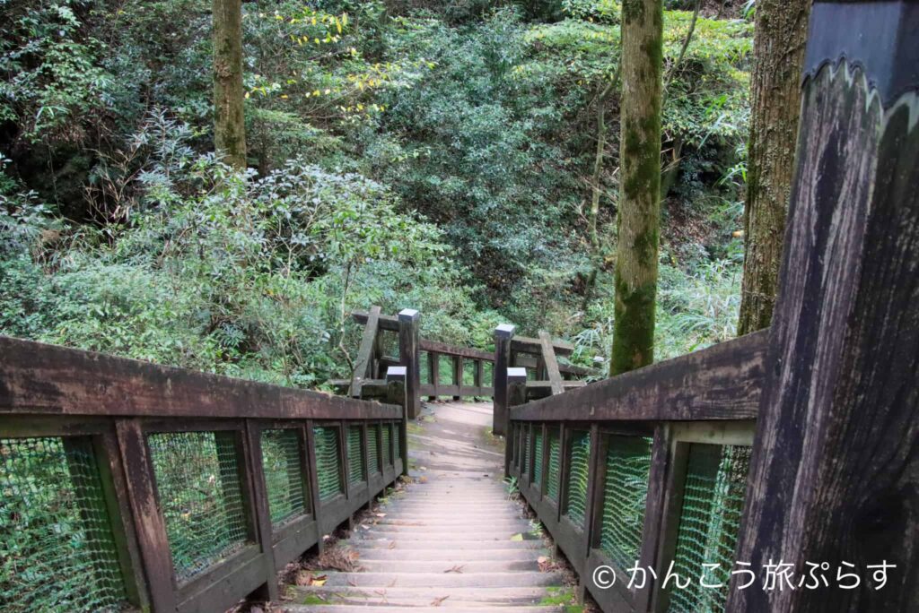 竜泉の蛇口