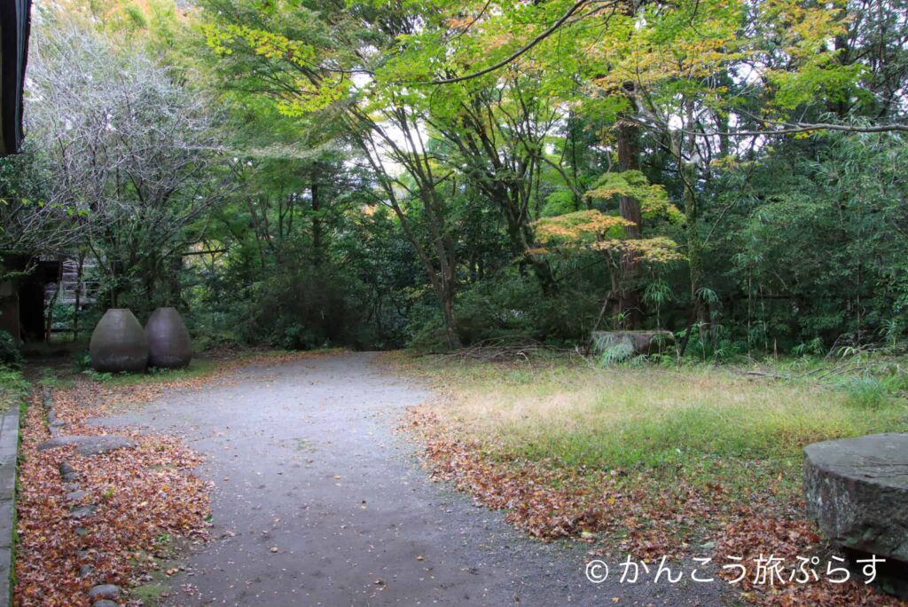 竜泉の蛇口