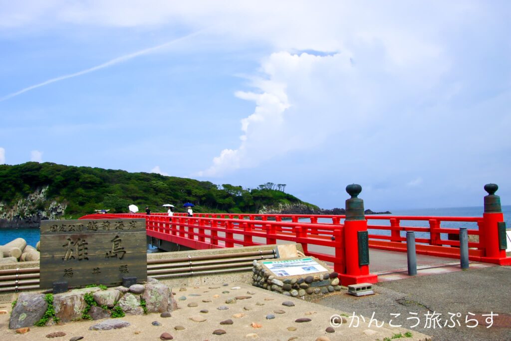 雄島