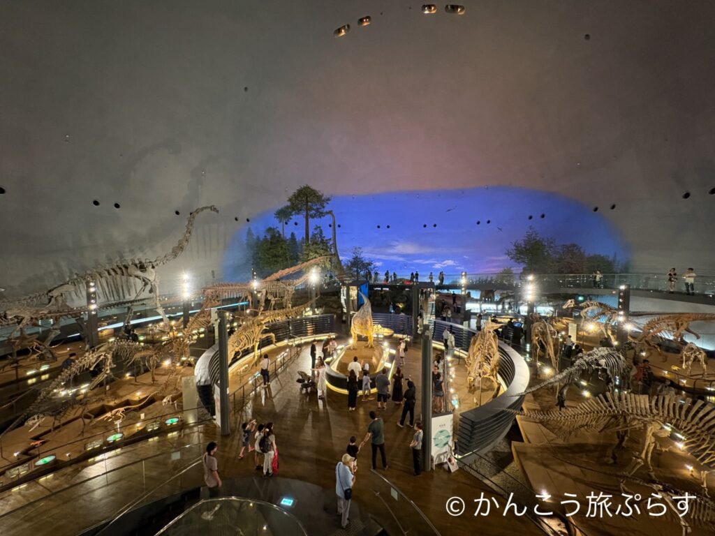 福井県立恐竜博物館